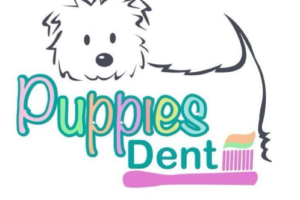 LIMPIEZA DENTAL SIN ANESTESIA PARA TUS PELUDITOS